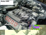 motor M60