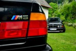 DSC_0862.jpg