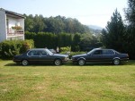 SDC10780.JPG