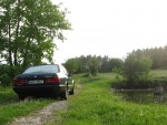 IMG_5229.jpg