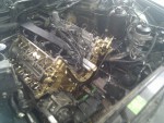IMG_20130905_143656.jpg