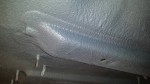 12544065_10205166587096533_959795535_o_resize.jpg