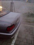 IMG_20161110_063312.jpg