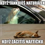 IMG_0677.JPG