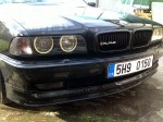 alpina.jpg