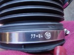 2021-11-06 20.04.26.jpg
