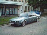 4584157.jpg